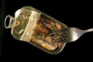 Prints of Sardines tin with fork Pilchard Prints: Sardines Tin with Fork Print