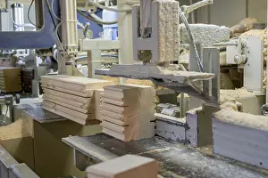 Deserted Sawmill Scene Prints: At sawmill. Image of profiled bar during processing