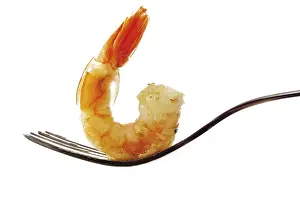 Food Nutrition Facts Prints: Scampi on a fork