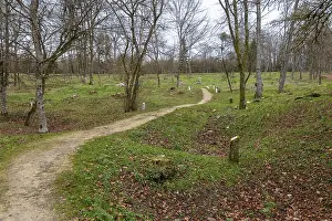 World War One Battlefield Prints: Scenery around Fleury-devant-Douaumont
