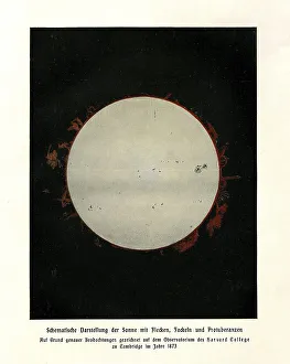 Schematic Print of the Sun with Spots, Flares, and Prominences
