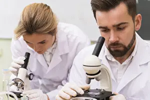 Laboratory Research Prints: Two scientist colleagues are using microscopes during research work in a laboratory