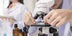 Scientist At Work Prints: A scientist performs a microbial analysis using a microscope in a laboratory setting