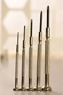 Handicraft Tool Image Prints: Screwdriver