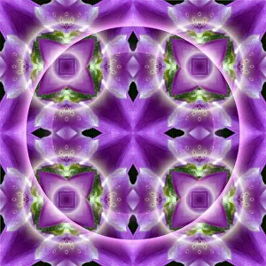 Full Frame Background Image Prints: Seamless pattern