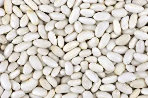 Rural Agriculture Prints: Seed of white beans close up