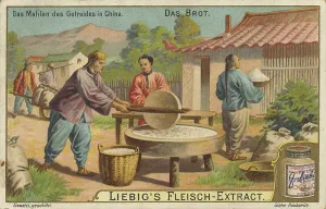 Digitally Restored Painting Reproduction Prints: Series The bread, traditional grain processing in China using a millstone