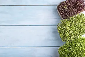 Vegan Meal Inspiration Prints: Set of boxes with microgreen sprouts of amaranth