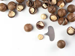 Macadamia Nuts Prints: Set of macadamia nuts and nut cracker sheller on white background