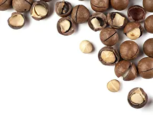 Flat Lay Photography Prints: Set of macadamia nuts on white background