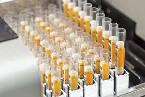 Framed Print : Set of Test Tubes in Laboratory Print Framed Print : Set of Test Tubes in Laboratory Print