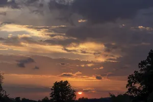German Evening Sky Prints: Setting sun with tree silhouettes