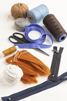 Sewing Accessories Prints: Sewing accessories: scissors, thread