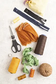 Sewing Accessories Prints: Sewing accessories: scissors, thread