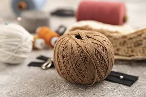 Sewing Accessories Prints: Sewing accessories: scissors, thread