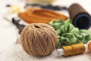 Sewing Accessories Prints: Sewing accessories: scissors, thread