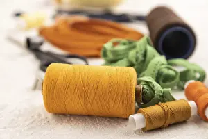 Sewing Accessories Prints: Sewing accessories: scissors, thread