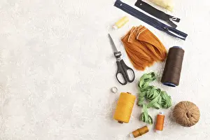 Sewing Accessories Prints: Sewing accessories: scissors, thread