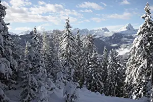 South Tyrol Landscape Prints: Shadow - Light