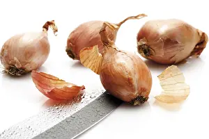 Vegetable Photography Prints: Shallots (Allium ascalonium)