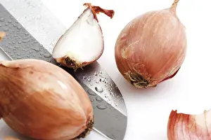 Vegetable Photography Prints: Shallots and a knife