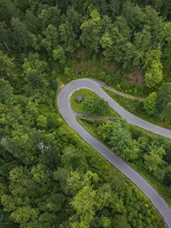 Black Forest Road Prints: Sharp bend in a road surrounded by dense forest