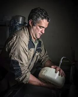 Sheep Cheese Making Prints: Sheep's cheese making
