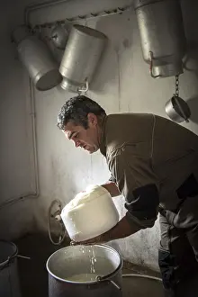 Sheep Cheese Making Prints: Sheep's cheese making