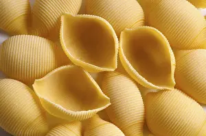 Raw Food Nutrition Facts Prints: Shell noodles, egg-based pasta