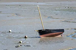 Low Tide Coastal Area Prints: Ship lying in the mud at low tide