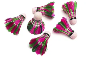 Copy Space For Text On White Background Prints: Shuttlecock with feathers on a white background