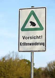 Blue Sky Daytime Scene Prints: Sign Caution! Toad migration in front of blue sky