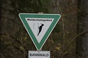 Central Europe Bird Photography Prints: Sign in the forest, protected forest