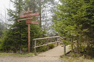 Northern Germany Nature Reserves Prints: Signpost at the Oderteich, Nebel