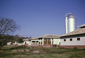 Historic Farm Buildings Prints: Silos barns stables calves grazing
