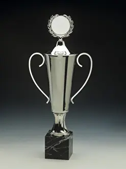 Ornate Decoration Prints: Silver trophy