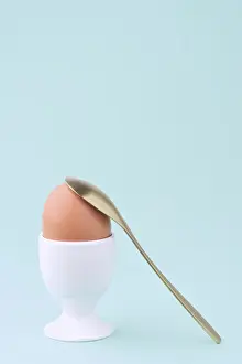 Blue Background Still Life Prints: A single brown egg secured in a white egg cup