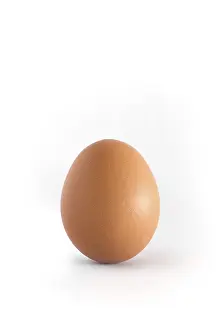 Food Cutout Images Prints: Single egg on white background vertical