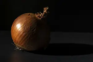 Dark Background Prints: Single onion placed in dramatic light and shadow on dark background