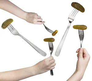 Isolated Food Images Prints: Single table fork set with pickled cucumber on white background