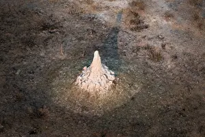 Prints of Single termite hill, landscape, aerial view of the Okavango Delta, near Maun, Okavango Delta, Botswana Maun Prints: Okavango Delta Termite Hill Print, Botswana