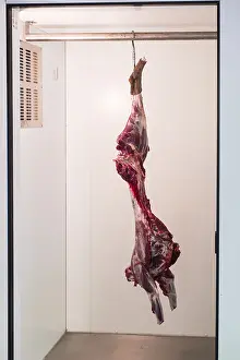 Raw Meat Photography Prints: Skinned deer on a meat hook in a cold store