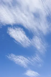 Bicolor Prints: Sky Germany Print - European Broadcasting Network
