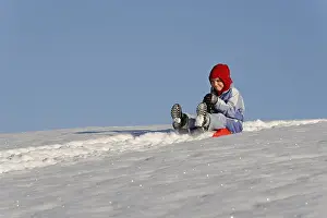 Snow Capped Mountain Prints: Sledding