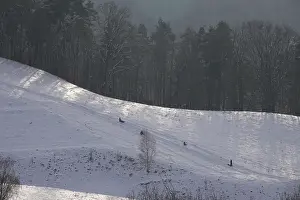 Winter Sports Europe Prints: Sledging, Winter, Germany