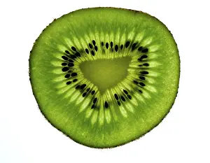 Detailed Wildlife Images Prints: Slice of kiwi