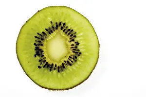 Kiwi Fruit Slice Prints: Slice of a kiwi fruit