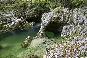 Prints of Sloncek - the elephant, natural formation, Mostnica mountain stream, Mostnica gorge, Voje valley, Triglav National Park, Slovenia Slovenia Prints: Sloncek Elephant Print, Mostnica Gorge, Slovenia