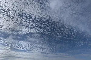 Cirrocumulus Cloud Formation Prints: Small cirrocumuli (Cirrocumulus)