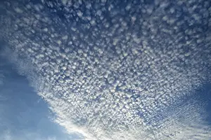 Cumulus Humilis Cloud Prints: Small cirrocumulus clouds, herringbone sky